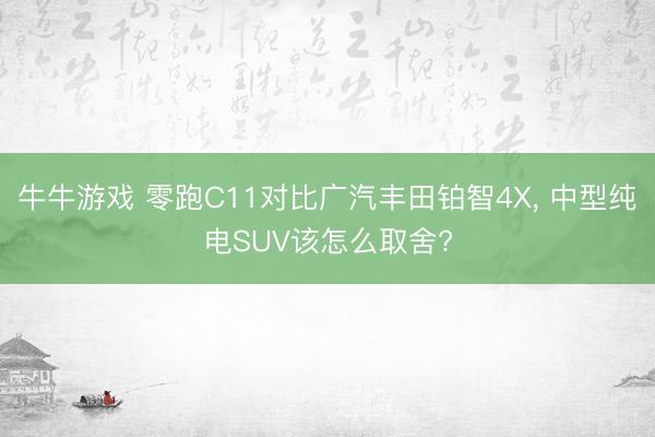 牛牛游戏 零跑C11对比广汽丰田铂智4X, 中型纯电SUV该怎么取舍?