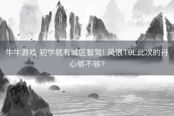牛牛游戏 初学就有城区智驾! 风浪T9L此次的丹心够不够?