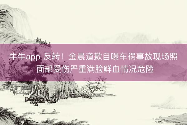 牛牛app 反转！金晨道歉自曝车祸事故现场照 面部受伤严重满脸鲜血情况危险