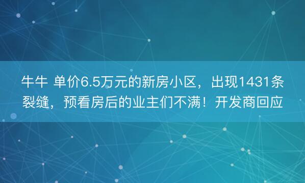 牛牛 单价6.5万元的新房小区，出现1431条裂缝，预看房后的业主们不满！开发商回应