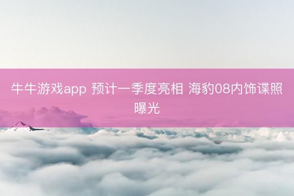 牛牛游戏app 预计一季度亮相 海豹08内饰谍照曝光