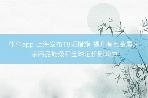 牛牛app 上海发布18项措施 提升有色金属大宗商品能级和全球定价影响力