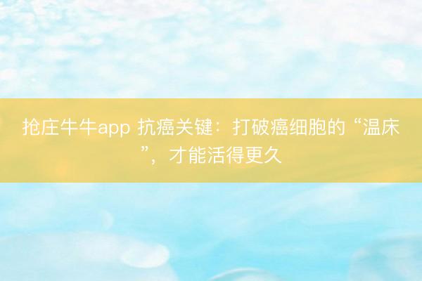 抢庄牛牛app 抗癌关键:打破癌细胞的 “温床”,才能活得更久