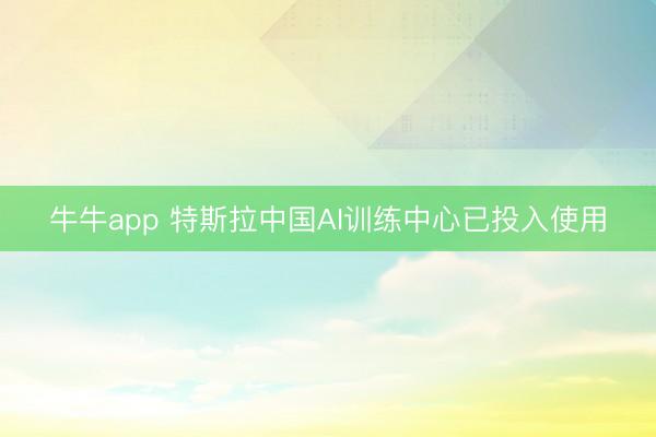 牛牛app 特斯拉中国AI训练中心已投入使用