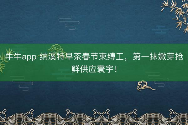 牛牛app 纳溪特早茶春节束缚工，第一抹嫩芽抢鲜供应寰宇！