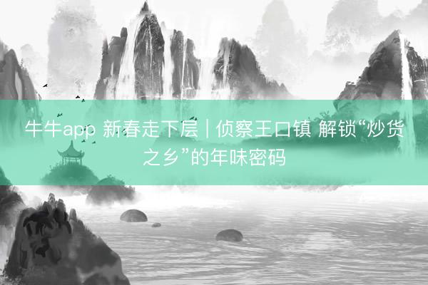 牛牛app 新春走下层 | 侦察王口镇 解锁“炒货之乡”的年味密码