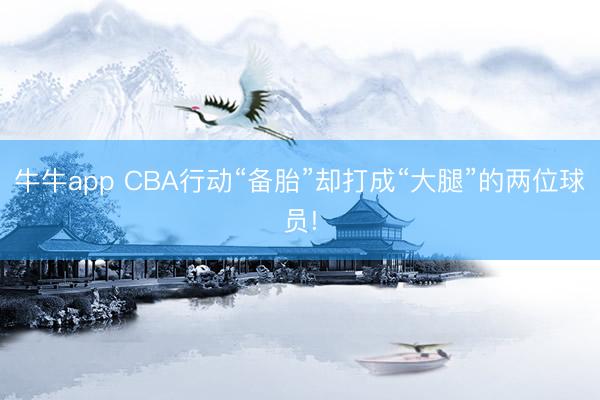 牛牛app CBA行动“备胎”却打成“大腿”的两位球员!
