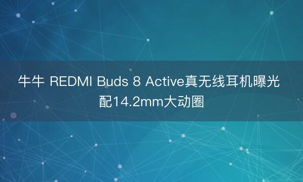 牛牛 REDMI Buds 8 Active真无线耳机曝光 配14.2mm大动圈