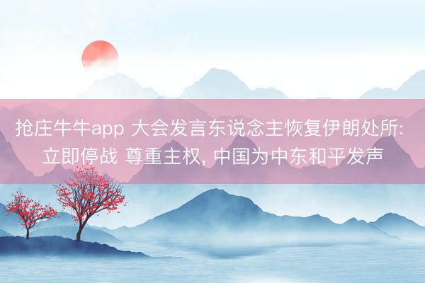 抢庄牛牛app 大会发言东说念主恢复伊朗处所: 立即停战 尊重主权， 中国为中东和平发声