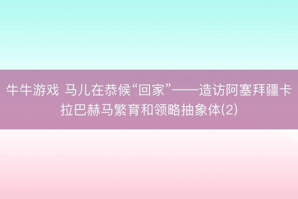 牛牛游戏 马儿在恭候“回家”——造访阿塞拜疆卡拉巴赫马繁育和领略抽象体(2)