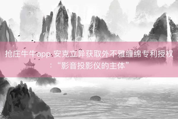 抢庄牛牛app 安克立异获取外不雅缠绵专利授权:“影音投影仪的主体”