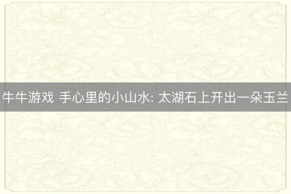 牛牛游戏 手心里的小山水: 太湖石上开出一朵玉兰