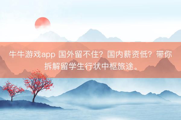 牛牛游戏app 国外留不住？国内薪资低？带你拆解留学生行状中枢旅途。