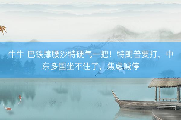 牛牛 巴铁撑腰沙特硬气一把！特朗普要打，中东多国坐不住了，焦虑喊停