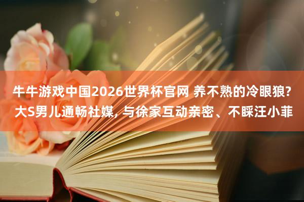 牛牛游戏中国2026世界杯官网 养不熟的冷眼狼? 大S男儿通畅社媒， 与徐家互动亲密、不睬汪小菲