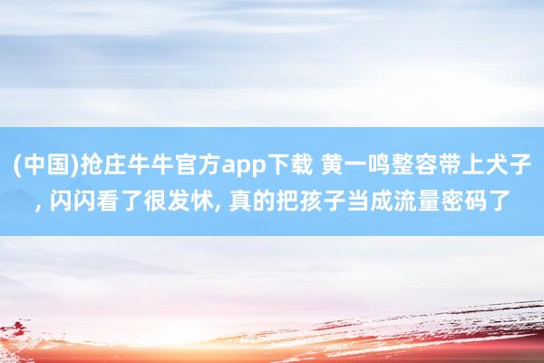 (中国)抢庄牛牛官方app下载 黄一鸣整容带上犬子， 闪闪看了很发怵， 真的把孩子当成流量密码了