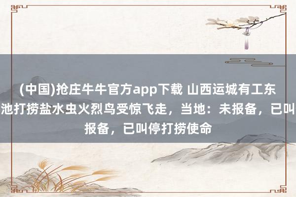 (中国)抢庄牛牛官方app下载 山西运城有工东说念主在盐池打捞盐水虫火烈鸟受惊飞走，当地：未报备，已叫停打捞使命