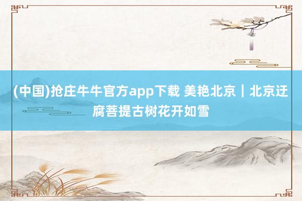 (中国)抢庄牛牛官方app下载 美艳北京｜北京迂腐菩提古树花开如雪
