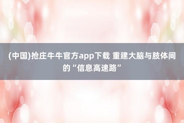 (中国)抢庄牛牛官方app下载 重建大脑与肢体间的“信息高速路”