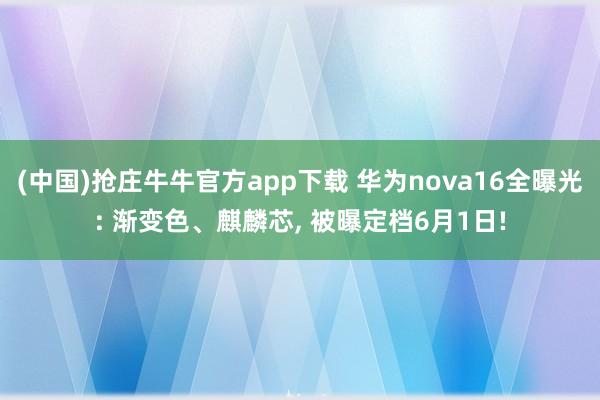 (中国)抢庄牛牛官方app下载 华为nova16全曝光: 渐变色、麒麟芯， 被曝定档6月1日!