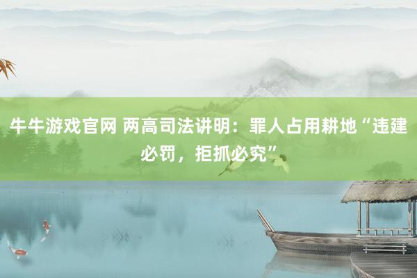 牛牛游戏官网 两高司法讲明：罪人占用耕地“违建必罚，拒抓必究”