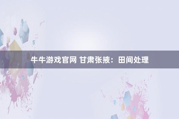 牛牛游戏官网 甘肃张掖：田间处理