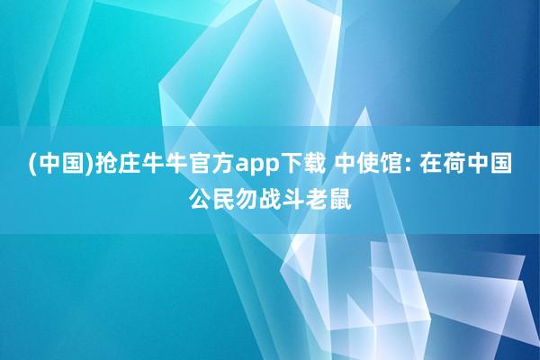 (中国)抢庄牛牛官方app下载 中使馆: 在荷中国公民勿战斗老鼠