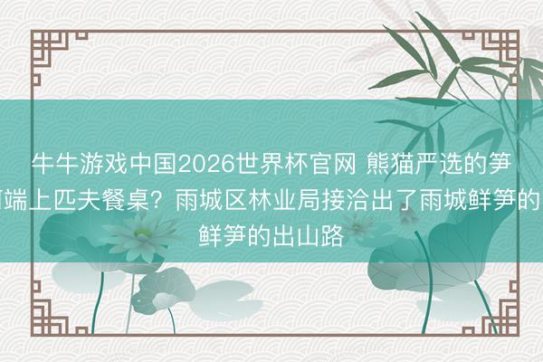 牛牛游戏中国2026世界杯官网 熊猫严选的笋，如何端上匹夫餐桌？雨城区林业局接洽出了雨城鲜笋的出山路