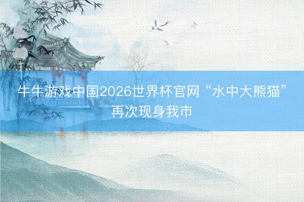 牛牛游戏中国2026世界杯官网 “水中大熊猫”再次现身我市
