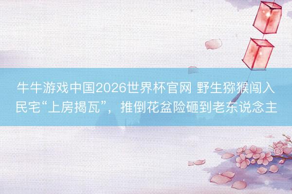 牛牛游戏中国2026世界杯官网 野生猕猴闯入民宅“上房揭瓦”，推倒花盆险砸到老东说念主