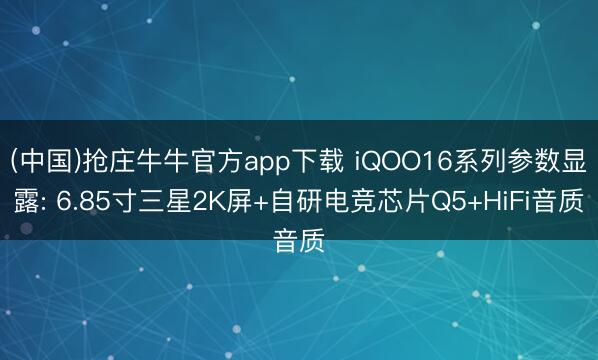 (中国)抢庄牛牛官方app下载 iQOO16系列参数显露: 6.85寸三星2K屏+自研电竞芯片Q5+HiFi音质