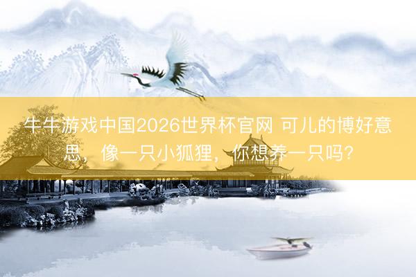 牛牛游戏中国2026世界杯官网 可儿的博好意思，像一只小狐狸，你想养一只吗?
