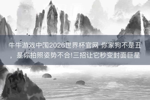 牛牛游戏中国2026世界杯官网 你家狗不是丑，是你拍照姿势不合!三招让它秒变封面巨星