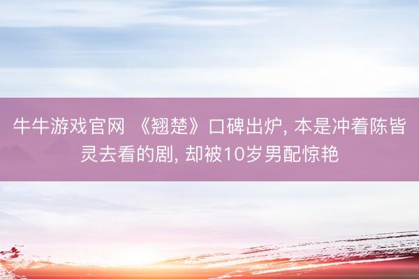 牛牛游戏官网 《翘楚》口碑出炉， 本是冲着陈皆灵去看的剧， 却被10岁男配惊艳